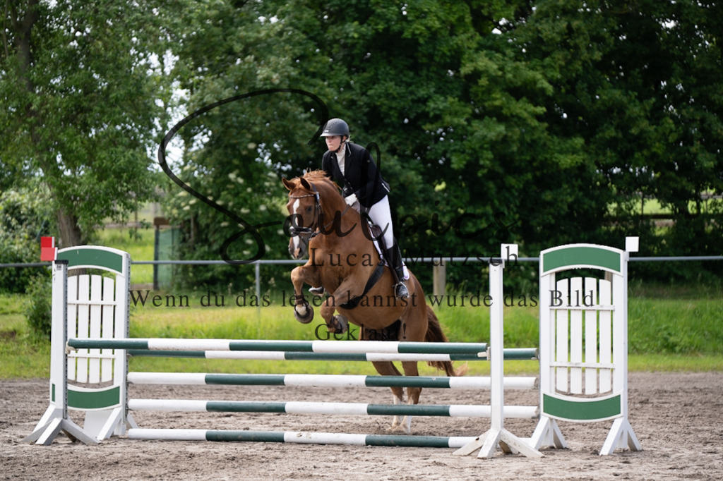 A7V04190 | Pferdefotograf