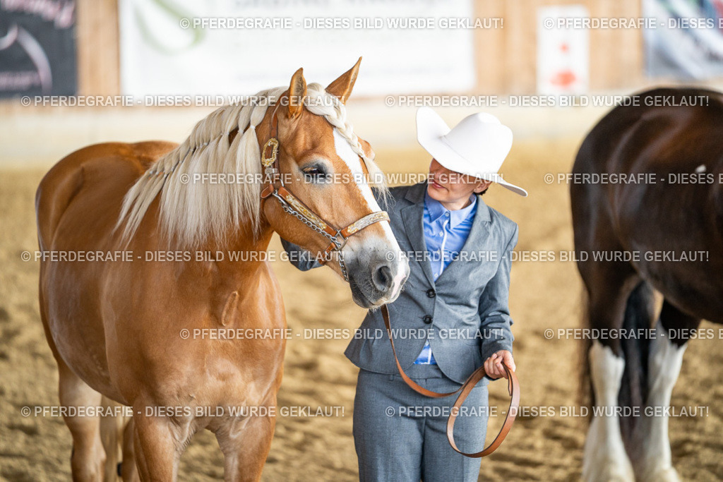 DSC07632 | Pferdegrafie