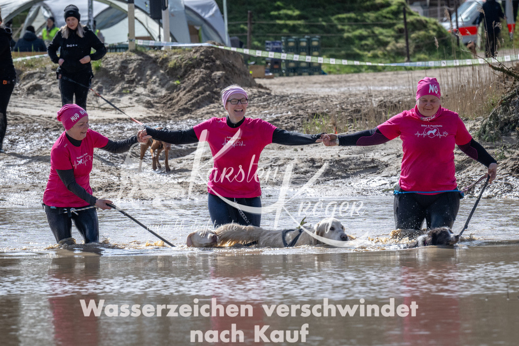 1138_ZZ94584 | kk-dogfotos