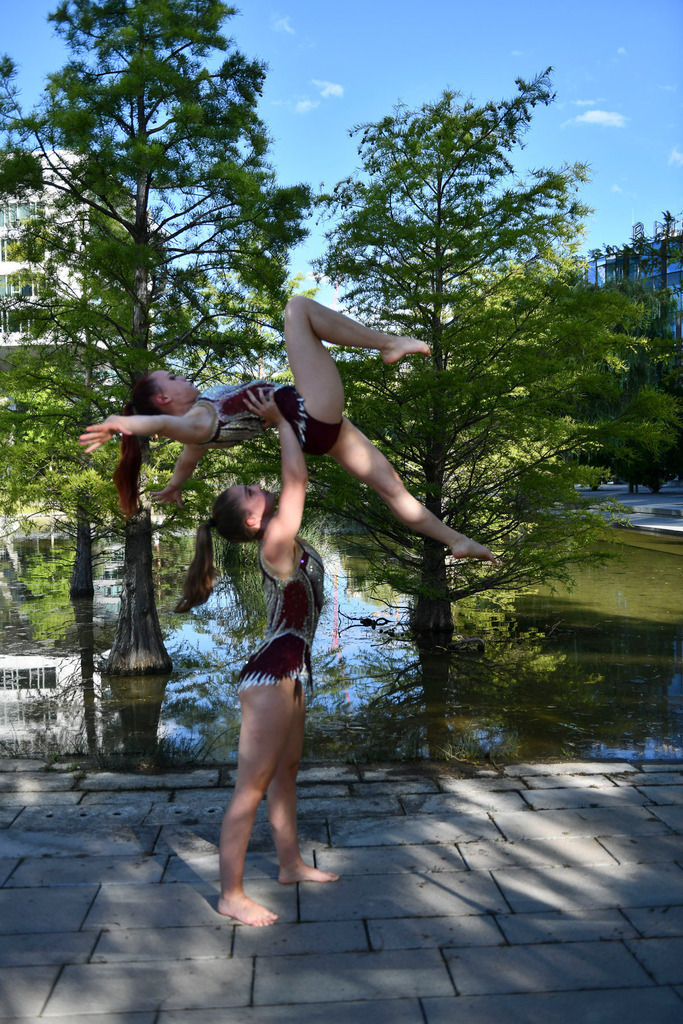 D85_0503_1 | Foto-Agnes Shop - Realisiert mit Pictrs.com