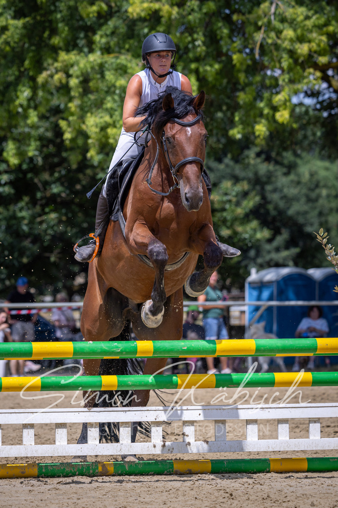 20260704-_3LI9488 | Tierfotografie Pferde, Hunde, Katzen, Haustiere.
Turnierfotografie Reitturniere, Reiten, Springreiten, Dressur in Hanau, dem Main-Kinzig-Kreis und dem Rhein-Main- Gebiet um Frankfurt