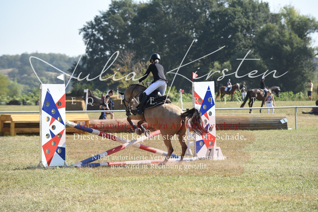 DSC_6077 | Pferde- und Turnierfotografie in Westsachsen. Pferdeportraits, Auftragszeichnungen und intuitive Kunst.