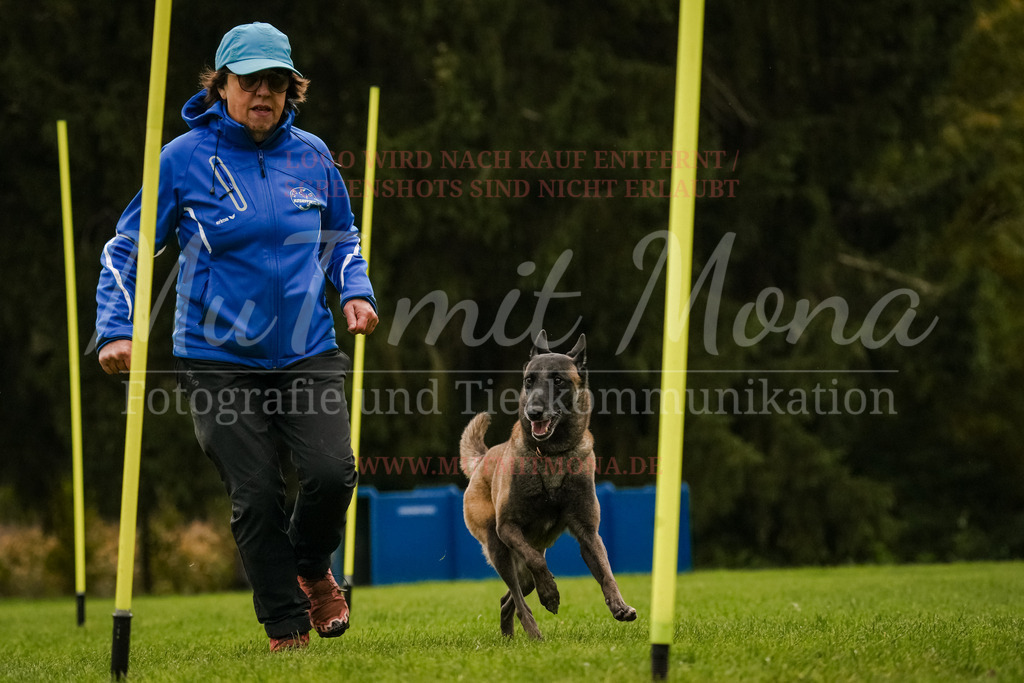 20251005_THS_Turnier-549 | MuT (Mensch und Tier) mit Mona - Fotografie und Tierkommunikation - Realisiert mit Pictrs.com