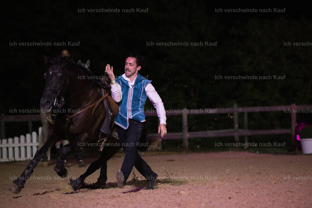 Gala-657 | working equitationturnier fotograf videograf stoibphotography marixx film working equitation deutschland reitsport turnierfotografie eventfotografie equestrian events