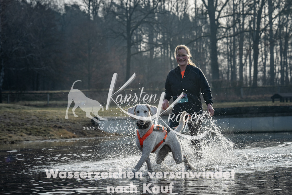 0856_ZZ99286 | kk-dogfotos