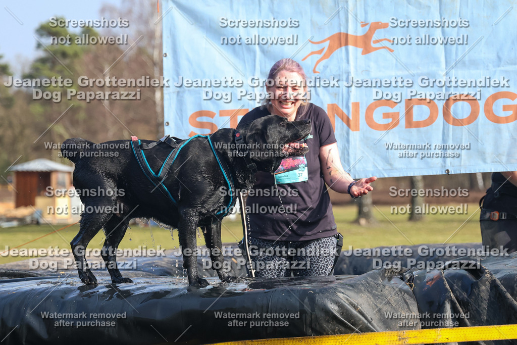 Dog Paparazzi - Strongdog North Mrz26-2504 | Dog Paparazzi Jeanette Grottendiek Fotografie & Videografie - Realisiert mit Pictrs.com