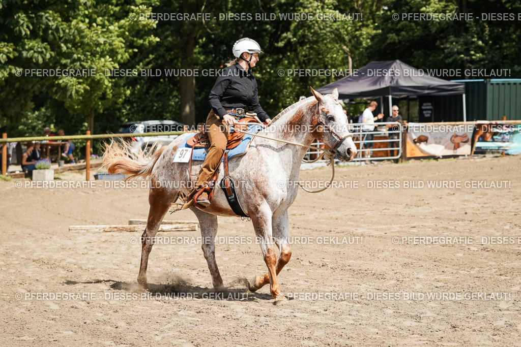 DSC06362 | Pferdegrafie