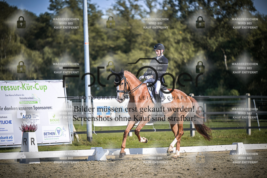 DOS_3574 | Entdecke hochwertige Reitturnierfotos von Foto Oger. Professionell, emotional und authentisch – jetzt Lieblingsmomente im Shop bestellen.Deutschlandweite Turnierfotografie. - Realisiert mit Pictrs.com