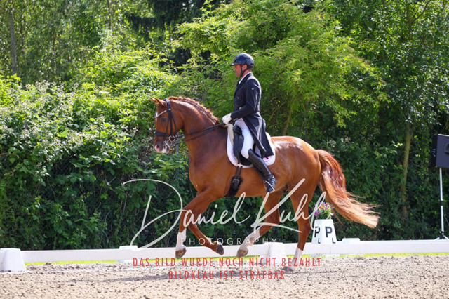 DKP41326 | Deine Turnierfotos vom Reitturnier online kaufen: Dressur, Springen & Siegerehrung. Professionelle Pferdefotografie aus dem Rheinland – als Download & Print.Alternative: Turnierfotograf für den Pferdesport: Finde deine Fotos von Dressur- und Springturnier