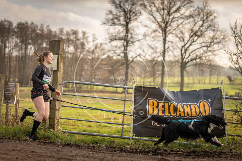 Pfotenfotografie_DV3A4618 | Hundefotografie, Tierfotograf, Pfotenfotografie, Fotoshooting Hund, Hunde Portrait, Hundesport, Hundeportraits, Heideshooting, Hunde, Sportfotograf, Hundefotograf, Turnierhundsport, THS,  - Realisiert mit Pictrs.com