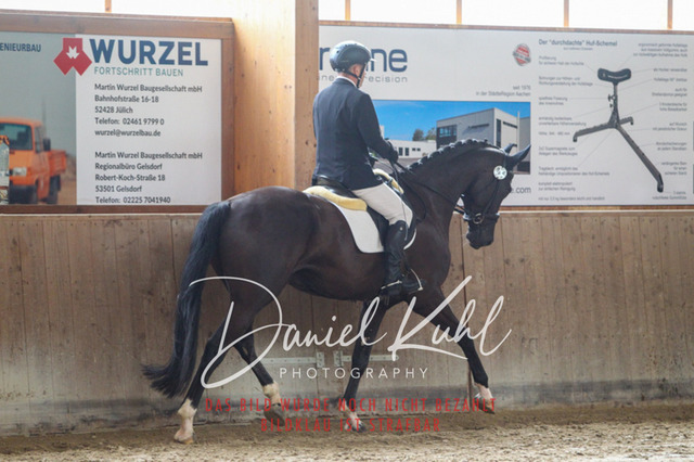 DKP43125 | Turnierfotos kaufen im Webshop von Daniel Kuhl Photography – entdecke professionelle Reitsportfotos aus Turnieren & Events. Hochwertige Turnierbilder online bestellen & sichern. Jetzt Fotos von Reitsportturnieren kaufen!