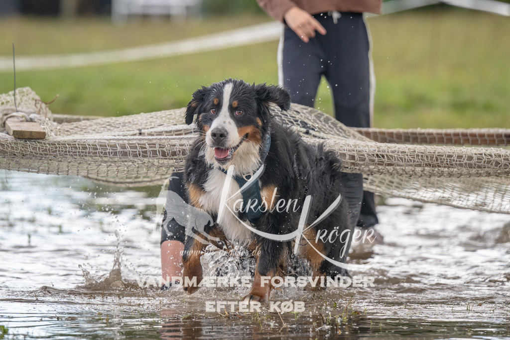 1503_ZZ90958 | kk-dogfotos