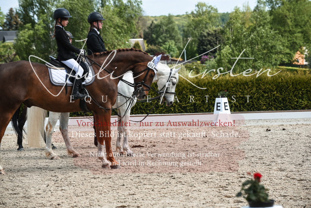 20230518_JK-Röhrsdorf-11-0902 | Pferde- und Turnierfotografie in Westsachsen. Pferdeportraits, Auftragszeichnungen und intuitive Kunst.