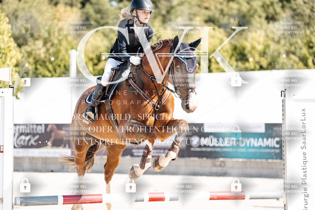 CK905208 | Turnierfotografie Pferdefotografie Trier Rheinland-Pfalz Pferdesport Reitsport Tierfotografie Sportfotografie Pferdevideo Pferdevideografie Equestrianvideography equestrianphotography  - Realisiert mit Pictrs.com