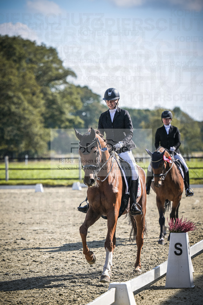 DOS_0131 | Entdecke hochwertige Reitturnierfotos von Foto Oger. Professionell, emotional und authentisch – jetzt Lieblingsmomente im Shop bestellen.Deutschlandweite Turnierfotografie. - Realisiert mit Pictrs.com