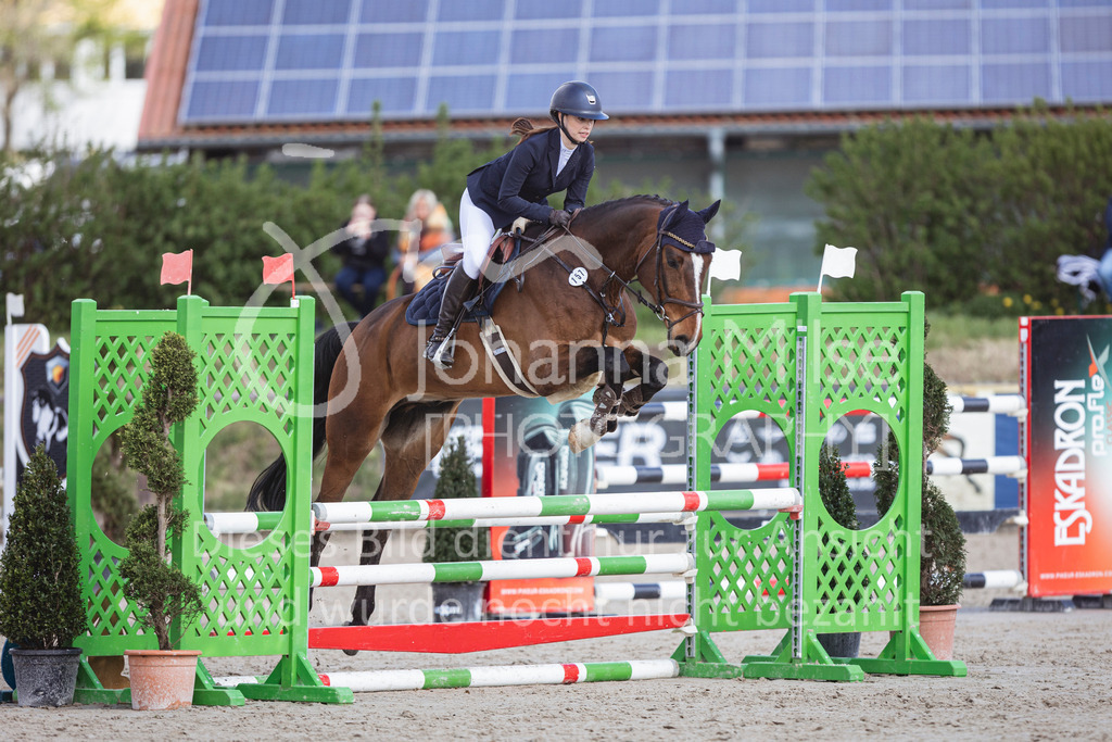 250419_Frühlingsfest_A-Stil1-467 | Deine schönsten Turniermomente als professionelle Fotos! Entdecke hochwertige Pferdesport-Fotografie im Online-Shop. Jetzt Fotos finden & bestellen!