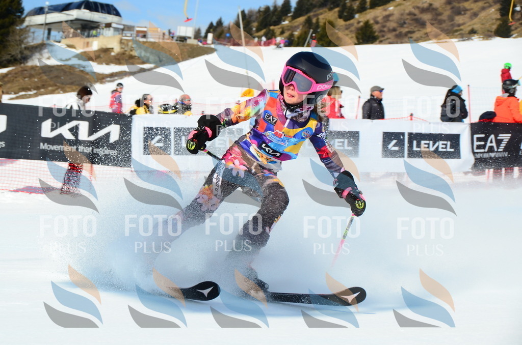 DSC_0503 | holidayphoto