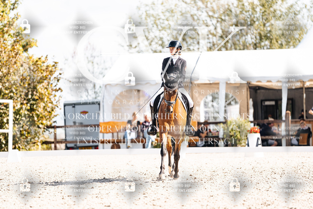 CK902671 | Turnierfotografie Pferdefotografie Trier Rheinland-Pfalz Pferdesport Reitsport Tierfotografie Sportfotografie Pferdevideo Pferdevideografie Equestrianvideography equestrianphotography  - Realisiert mit Pictrs.com