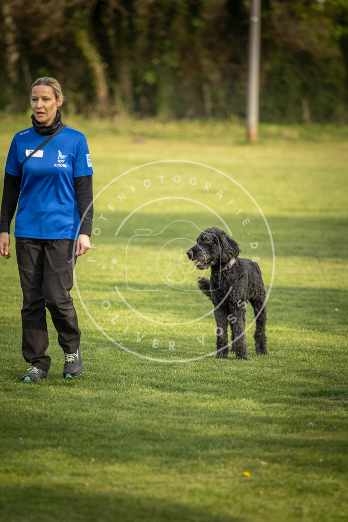 Pfotenfotografie_DV3A4802 | Hundefotografie, Tierfotograf, Pfotenfotografie, Fotoshooting Hund, Hunde Portrait, Hundesport, Hundeportraits, Heideshooting, Hunde, Sportfotograf, Hundefotograf, Turnierhundsport, THS,  - Realisiert mit Pictrs.com