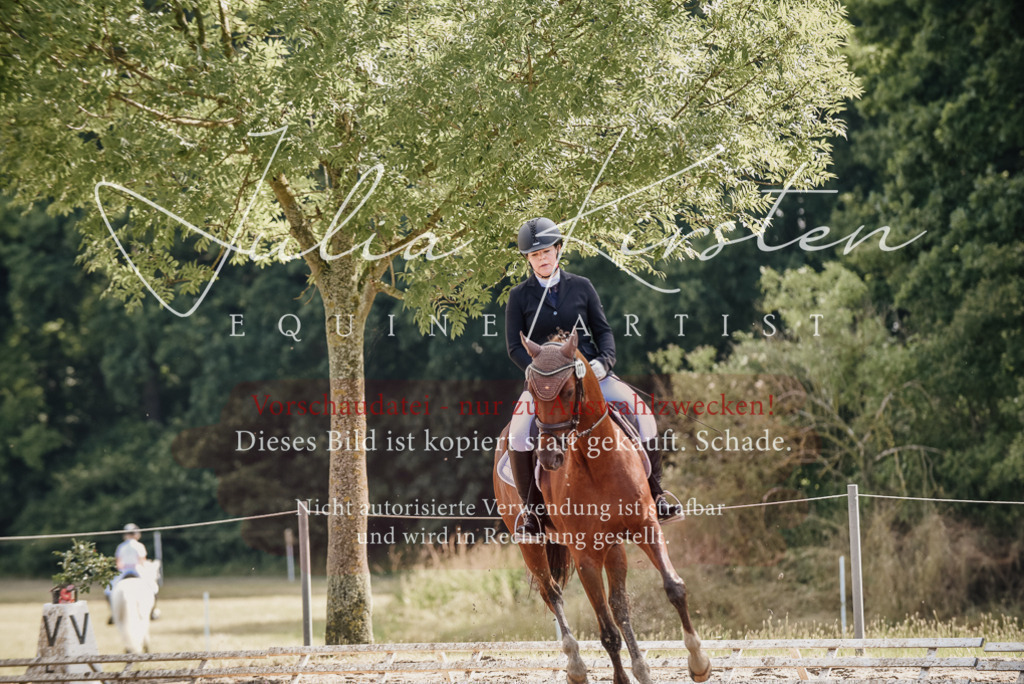 DSC_9285 | Pferde- und Turnierfotografie in Westsachsen. Pferdeportraits, Auftragszeichnungen und intuitive Kunst.