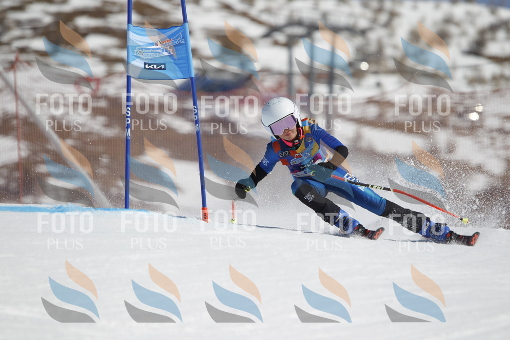 _U3G0211 | holidayphoto