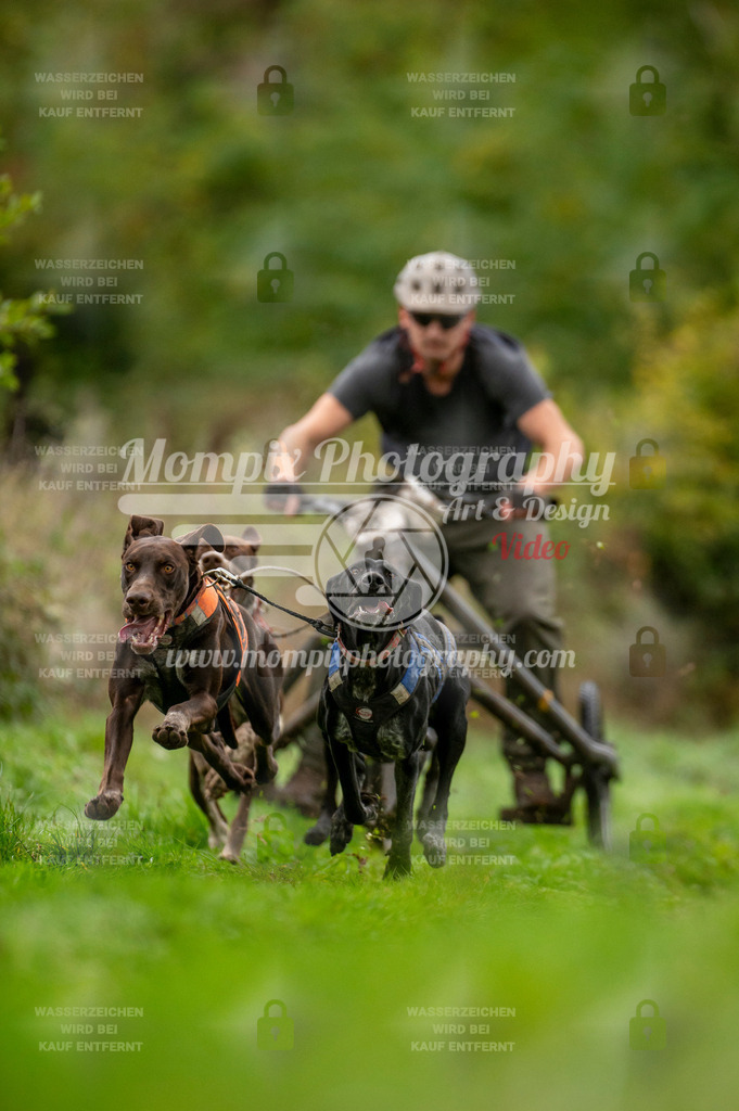 TSB_2023_E6_Kart-9 | PayLife