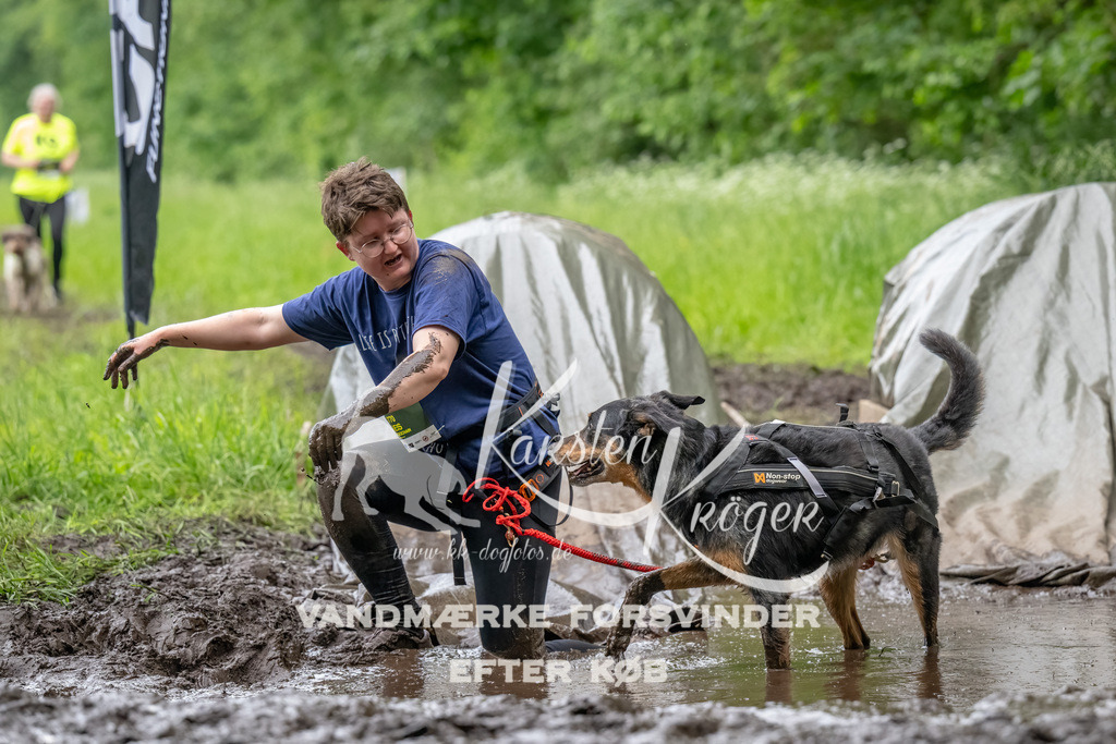 1554_ZZ91068-Bearbeitet | kk-dogfotos