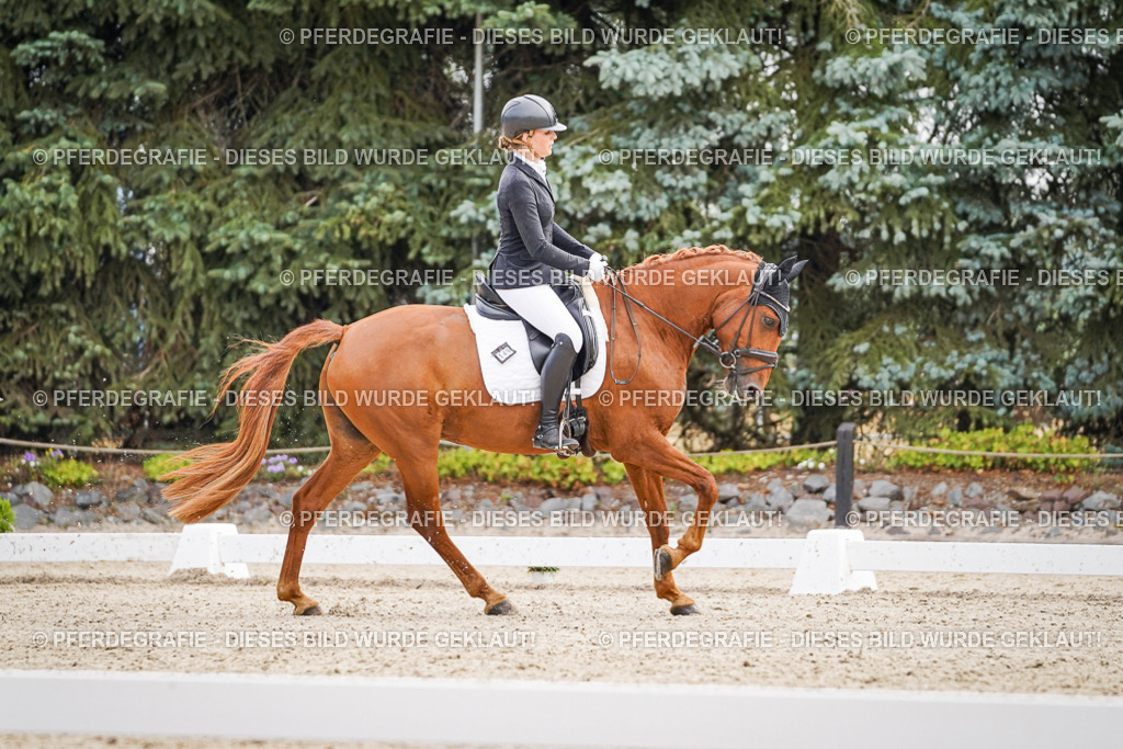 DSC01388 | Pferdegrafie