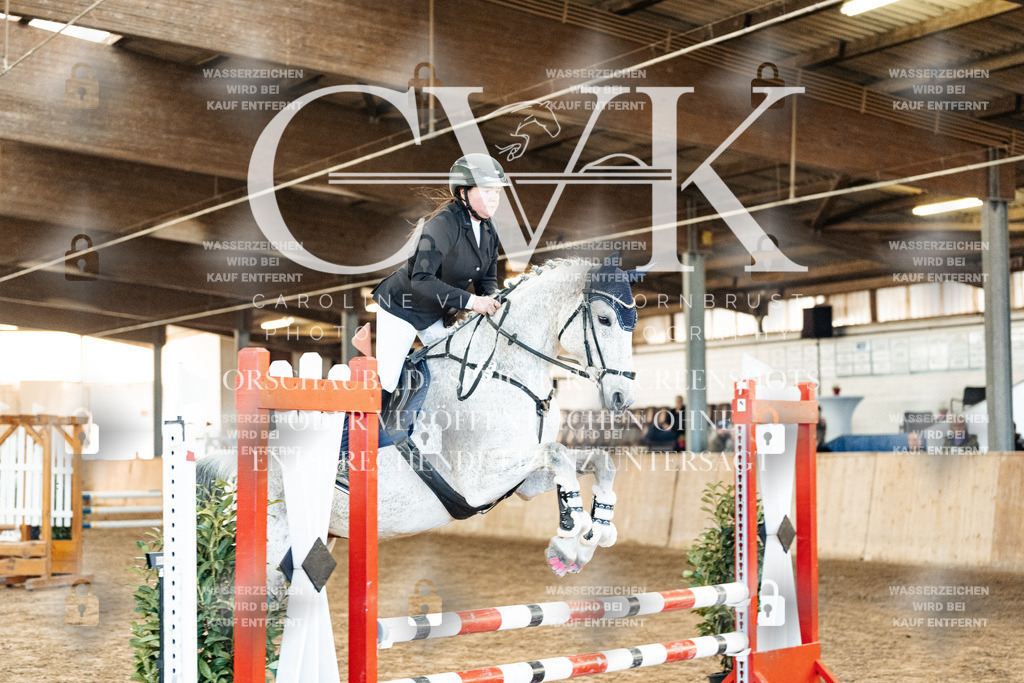 CK903928 | Turnierfotografie Pferdefotografie Trier Rheinland-Pfalz Pferdesport Reitsport Tierfotografie Sportfotografie Pferdevideo Pferdevideografie Equestrianvideography equestrianphotography  - Realized with Pictrs.com