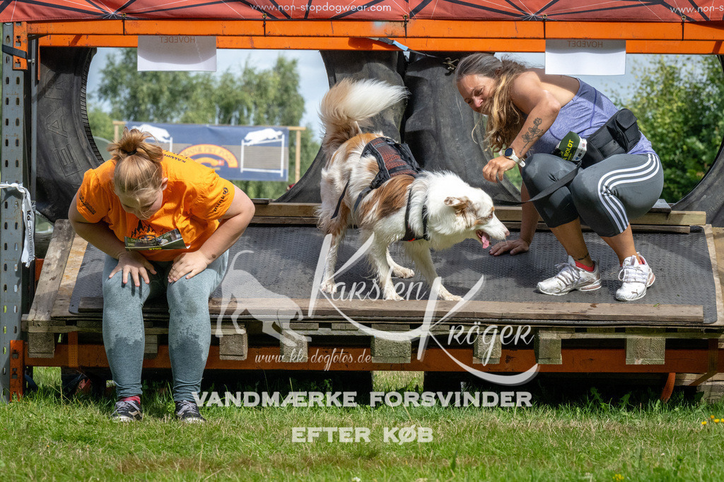 1136_ZZ92729 | kk-dogfotos