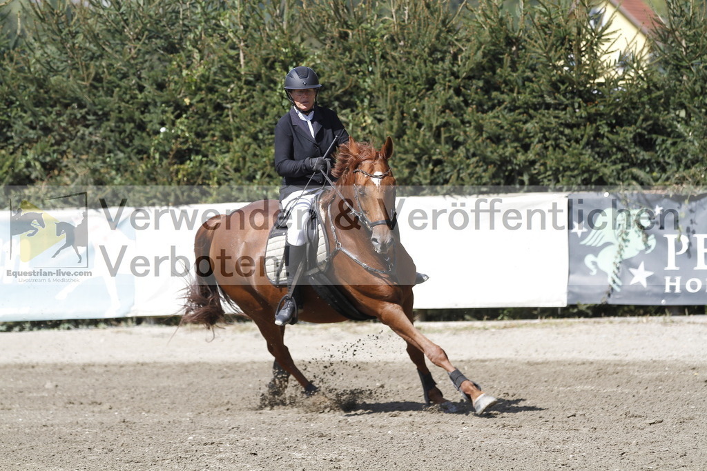 _MG_6391 | equestrian-live-com
