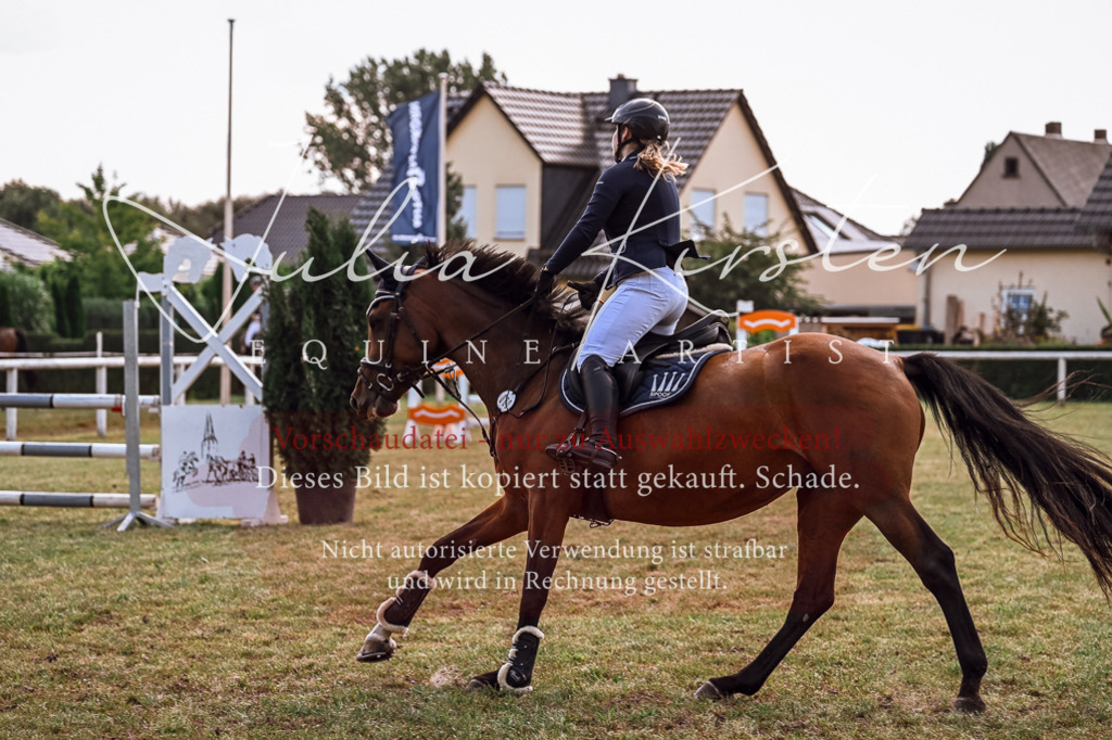 DSC_7691 | Pferde- und Turnierfotografie in Westsachsen. Pferdeportraits, Auftragszeichnungen und intuitive Kunst.