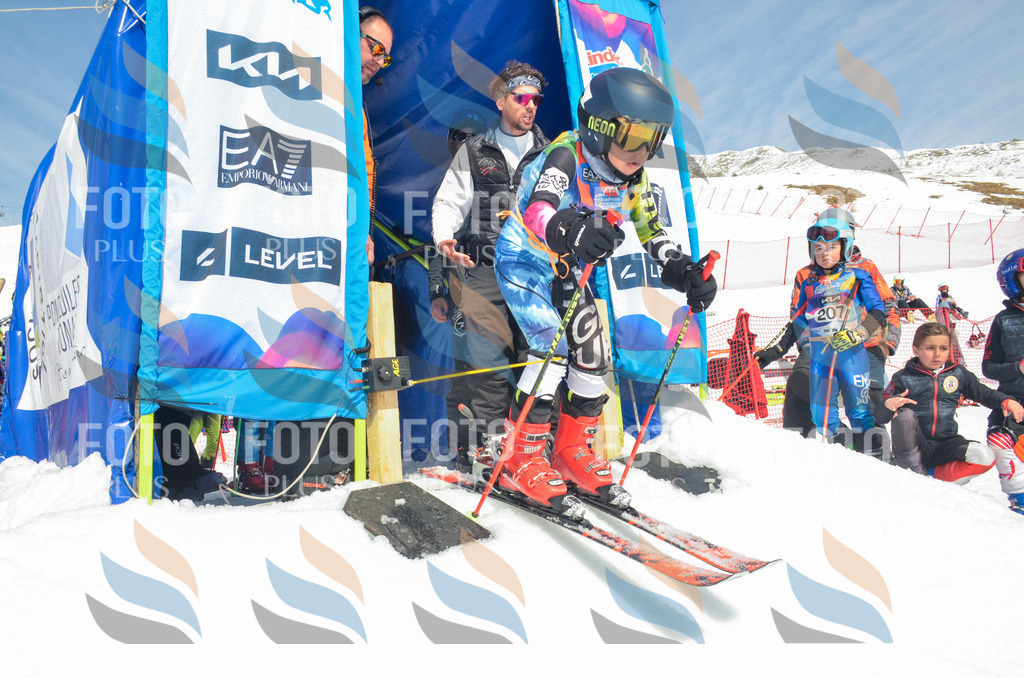 _ELE6510 | holidayphoto