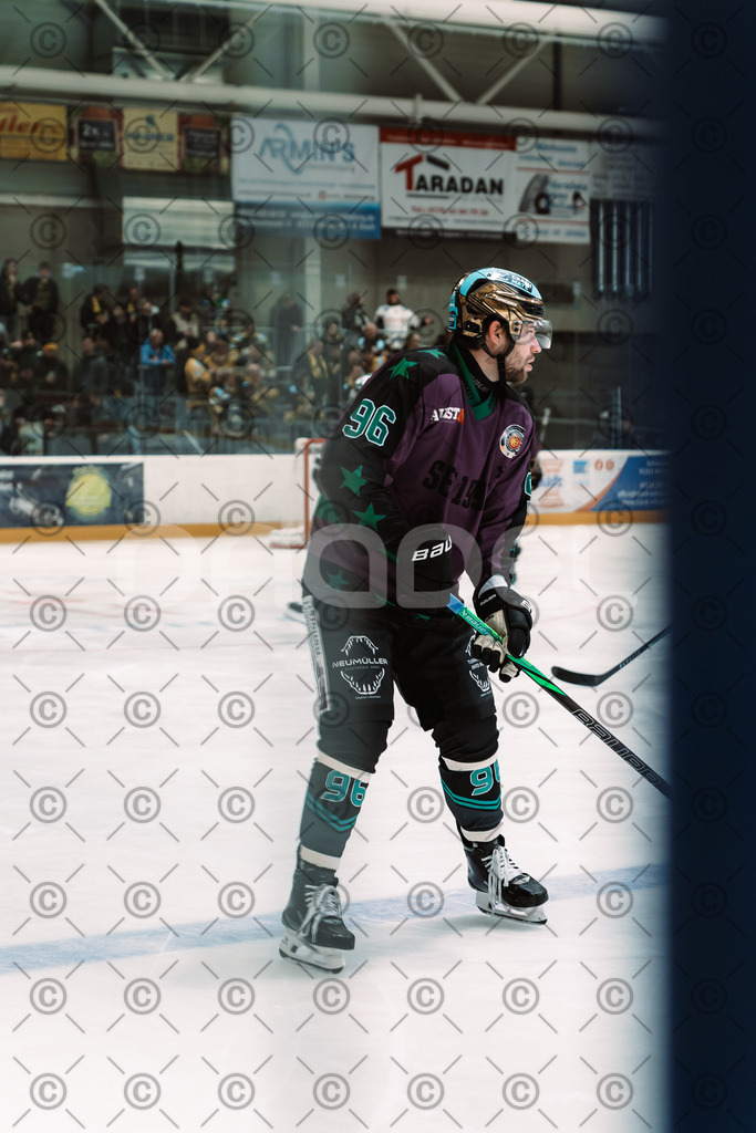 Alligators_vs_Bayreuth_10_2025-21 | Höchstadt Alligators Fotogalerie: Eishockey-Action aus Franken. Professionelle Spielfotos, Portraits & Stadionbilder zum Download. Jetzt entdecken! - Realisiert mit Pictrs.com