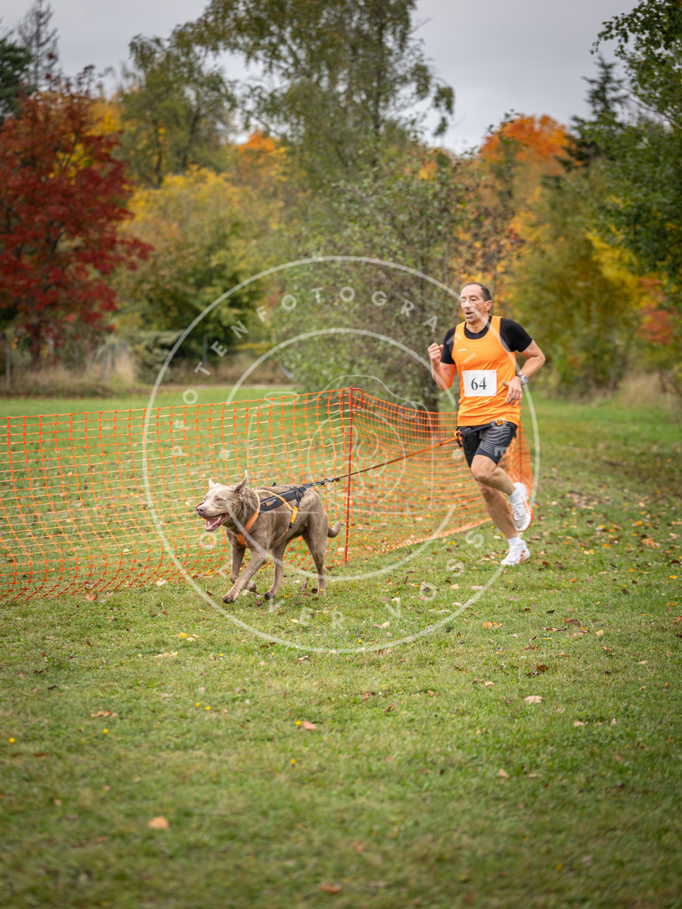 Pfotenfotografie_DV3A2741 | Hundefotografie, Tierfotograf, Pfotenfotografie, Fotoshooting Hund, Hunde Portrait, Hundesport, Hundeportraits, Heideshooting, Hunde, Sportfotograf, Hundefotograf, Turnierhundsport, THS,  - Realisiert mit Pictrs.com