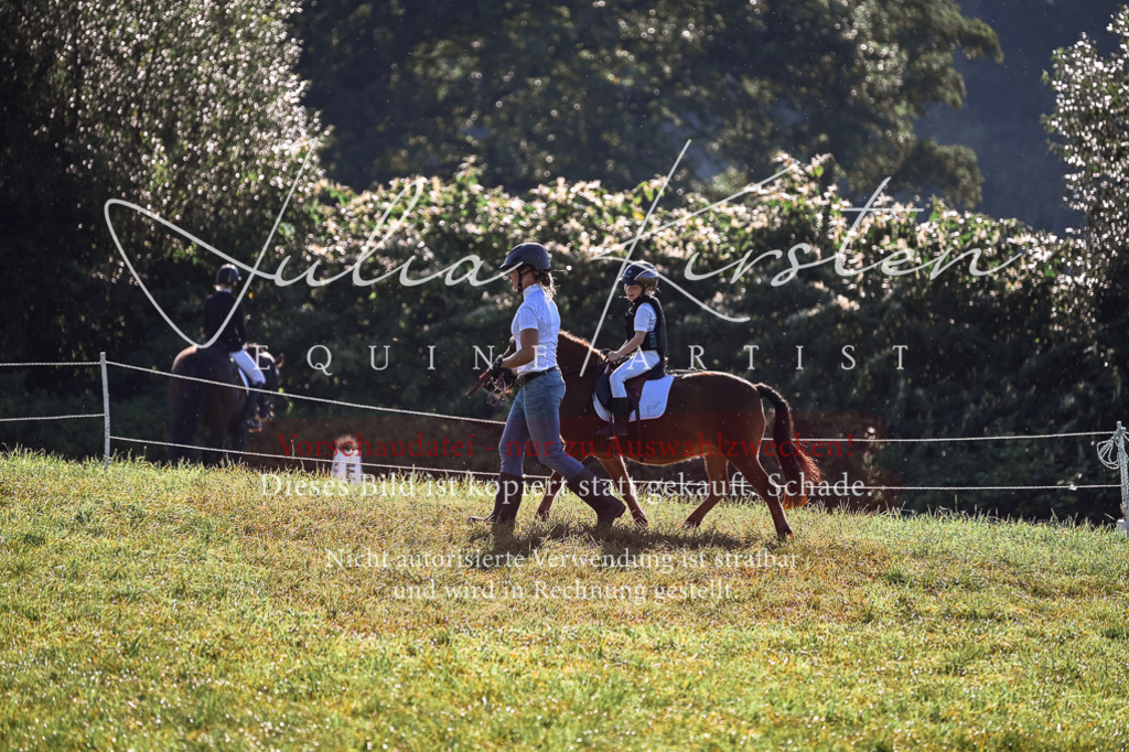 DSC_0468 | Pferde- und Turnierfotografie in Westsachsen. Pferdeportraits, Auftragszeichnungen und intuitive Kunst.