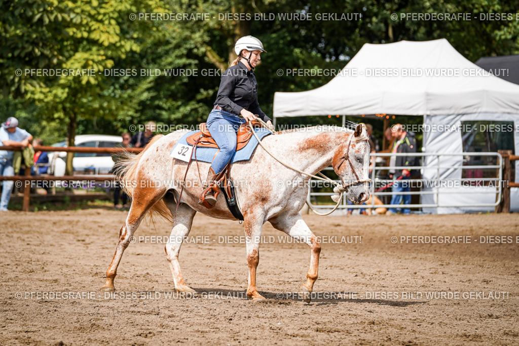 DSC07331 | Pferdegrafie