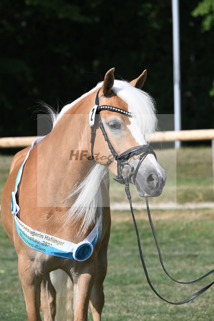 Kat-Nr. 2 Larissa_Weber_20231966 | hf-fotografie - Realisiert mit Pictrs.com