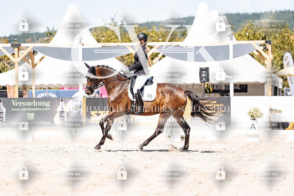 CK909797 | Turnierfotografie Pferdefotografie Trier Rheinland-Pfalz Pferdesport Reitsport Tierfotografie Sportfotografie Pferdevideo Pferdevideografie Equestrianvideography equestrianphotography  - Realisiert mit Pictrs.com