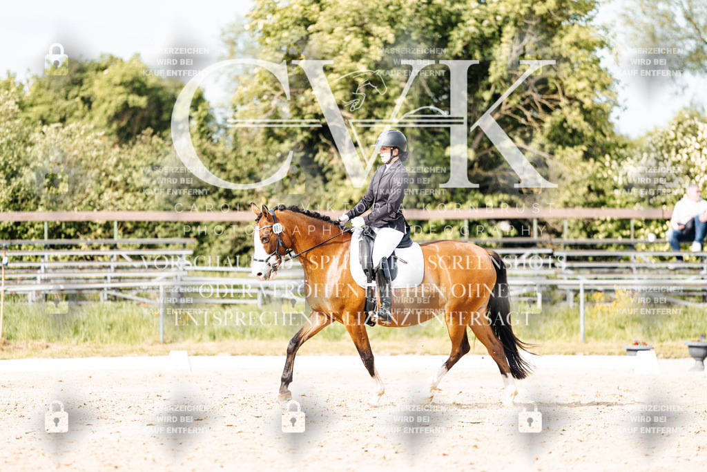 CK900561 | Turnierfotografie Pferdefotografie Trier Rheinland-Pfalz Pferdesport Reitsport Tierfotografie Sportfotografie Pferdevideo Pferdevideografie Equestrianvideography equestrianphotography  - Realisiert mit Pictrs.com