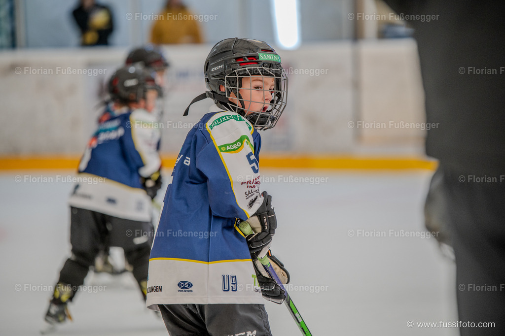 DSC_1133 | "Fussifoto.com – Ihr Ansprechpartner für hochwertige Fotografie! Entdecken Sie kreative Bilder und professionelle Dienstleistungen. Kontaktieren Sie uns für Ihre Projekte!"