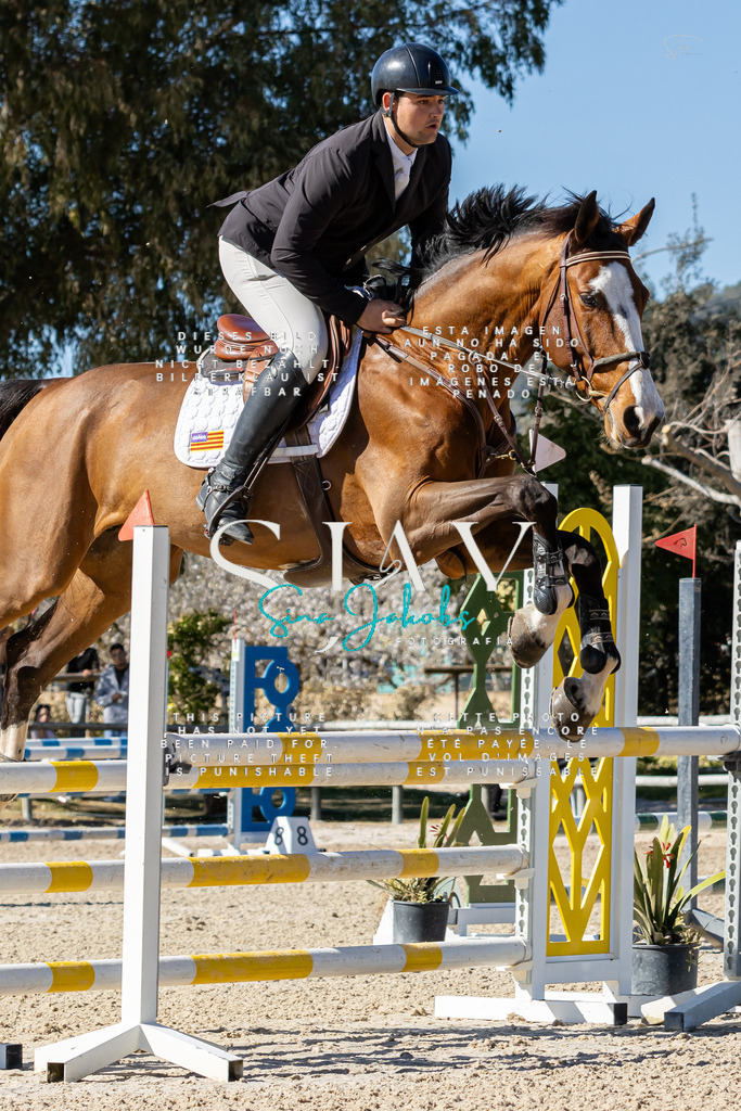 IMG_0646 | s-jay-photography - Realisiert mit Pictrs.com