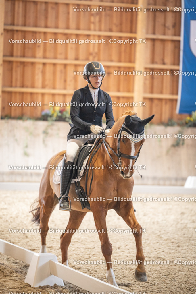 _D5A8845 | Emotionale Pferde- & People-Fotografie rund um Heidelberg, Leimen & Umgebung. Natürliche Fotos von Pferd, Mensch & Familie. Jetzt Termin sichern!