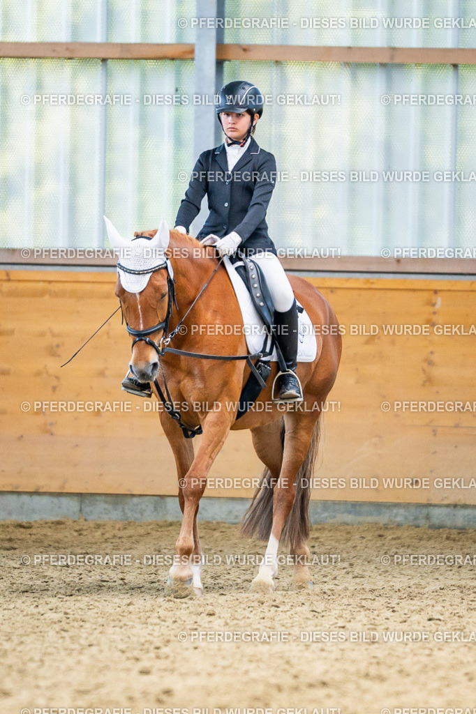 DSC03047 | Pferdegrafie