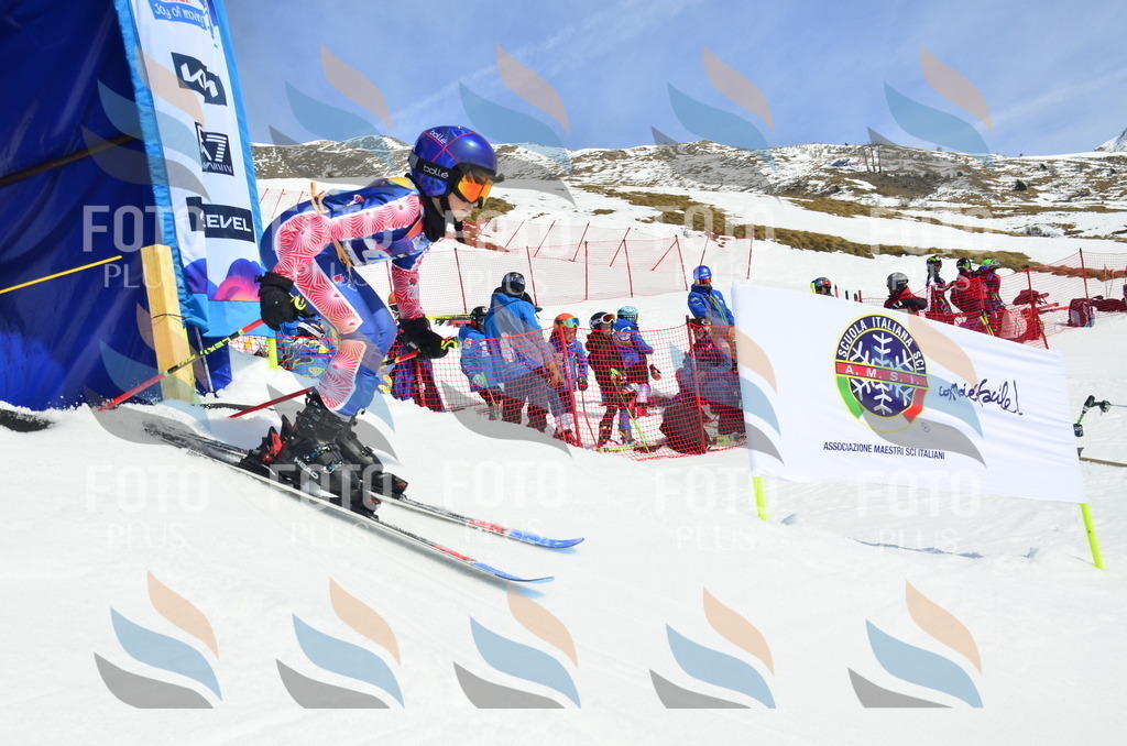 _ELE1276 | holidayphoto