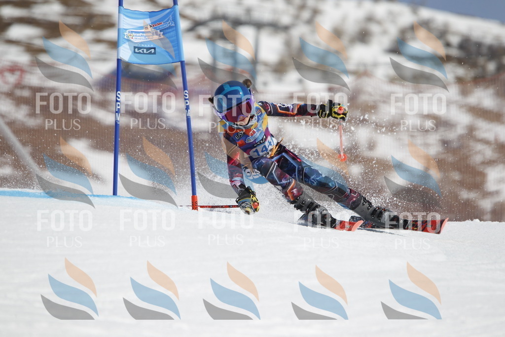 _U3G1102 | holidayphoto