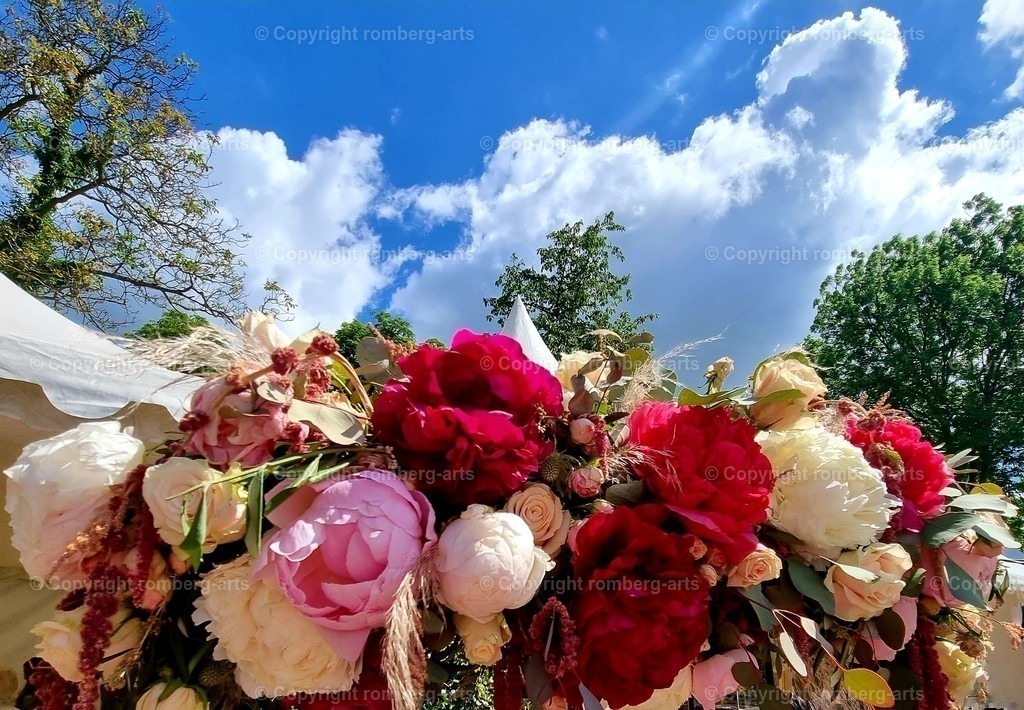 Flowers3 | Rosengesteck, Blumenbild, Rosenbild, Rosengirlande, Panorama, blauer Sommerhimmel