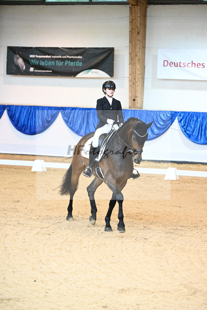 Kat-Nr. 136 TH Frederick_Mayer_14240556 | hf-fotografie - Realisiert mit Pictrs.com