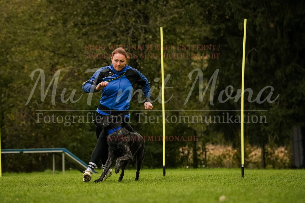 20251005_THS_Turnier-435 | MuT (Mensch und Tier) mit Mona - Fotografie und Tierkommunikation - Realisiert mit Pictrs.com