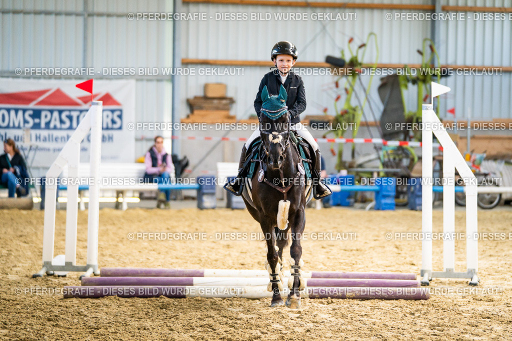 DSC01635 | Pferdegrafie